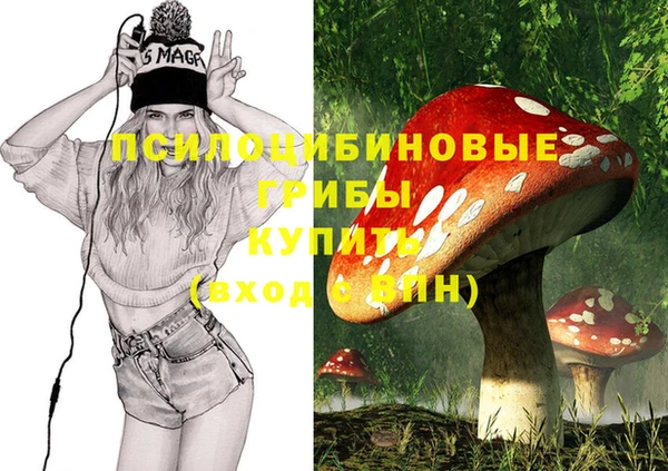 стафф Краснотурьинск