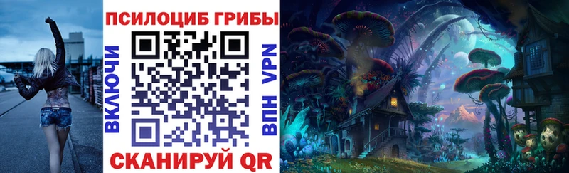KRAKEN зеркало  купить закладку  Курган  Псилоцибиновые грибы мицелий 