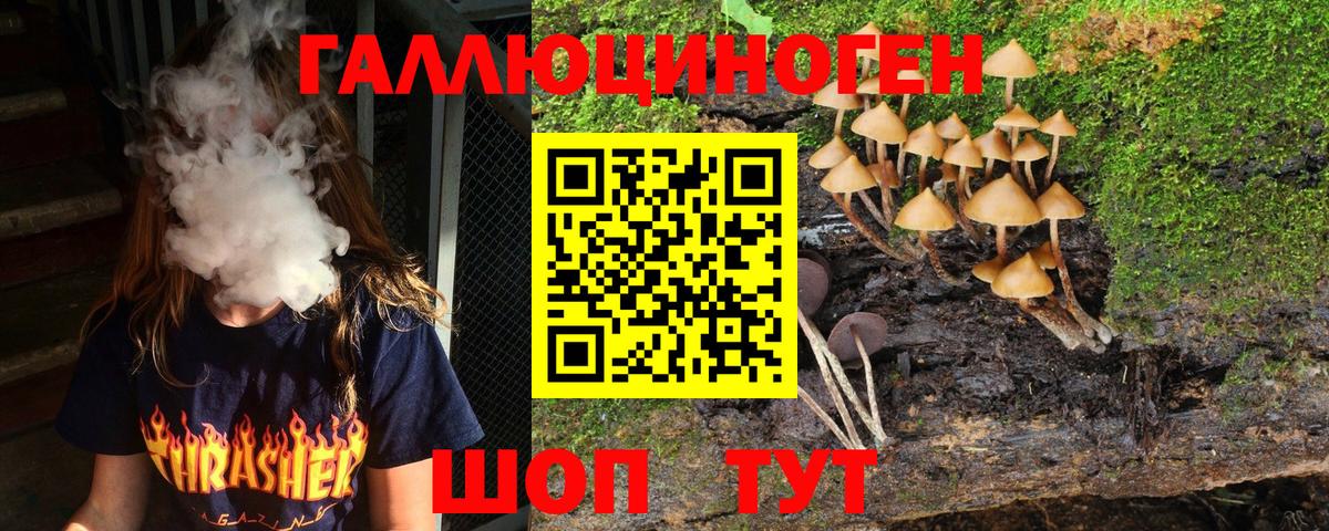 Галлюциногенные грибы Cubensis  Вход с VPN  Курган 