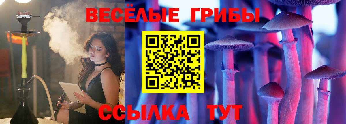 Псилоцибиновые грибы мухоморы Курган