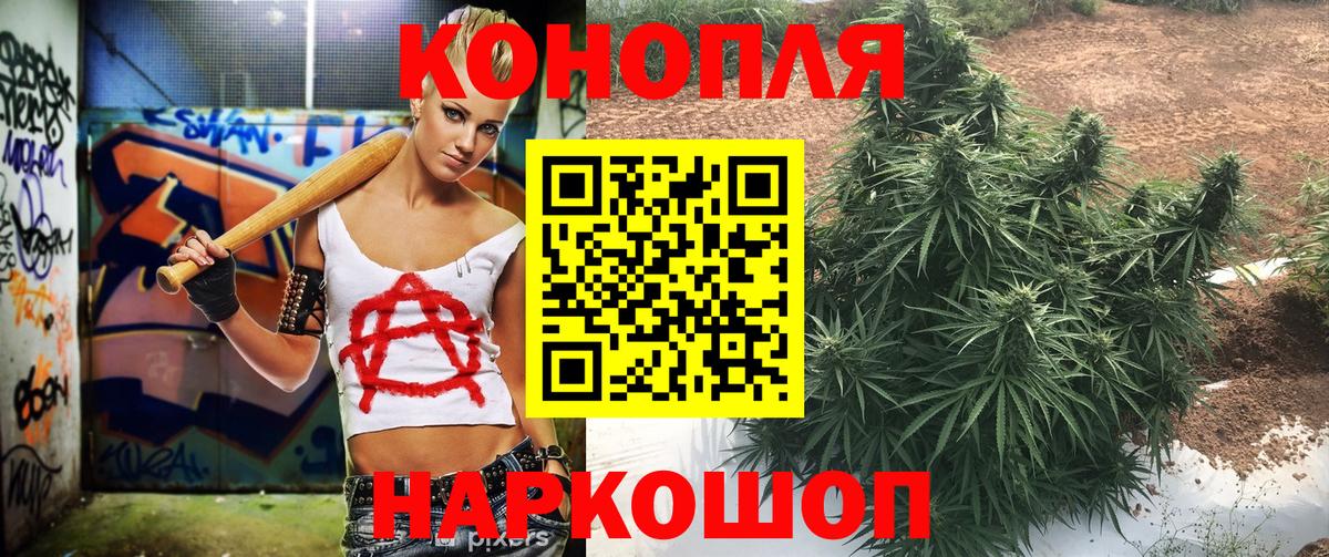 МАРИХУАНА конопля Курган